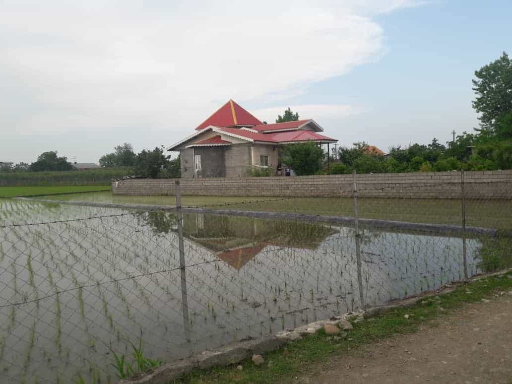 اجاره ویلا اجاره ای درماسال