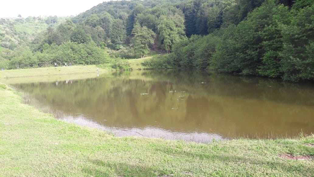 اجاره سوئیت جنگلی در چلکاسر - 2