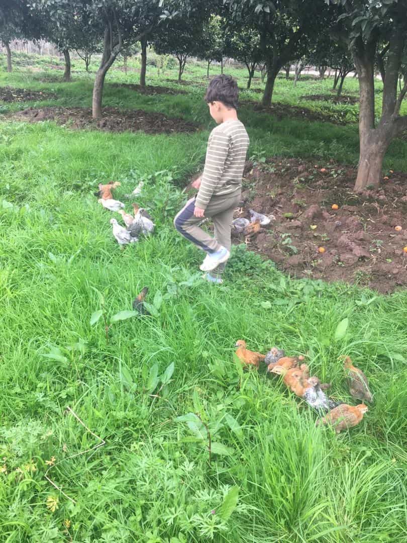 اجاره کلبه سنتی در خطبه سرا تالش