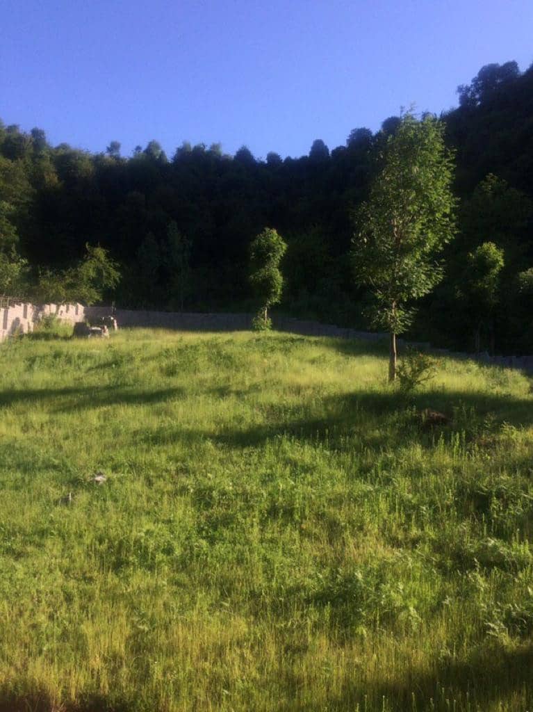 اجاره سوئیت مبله شیک درماسال