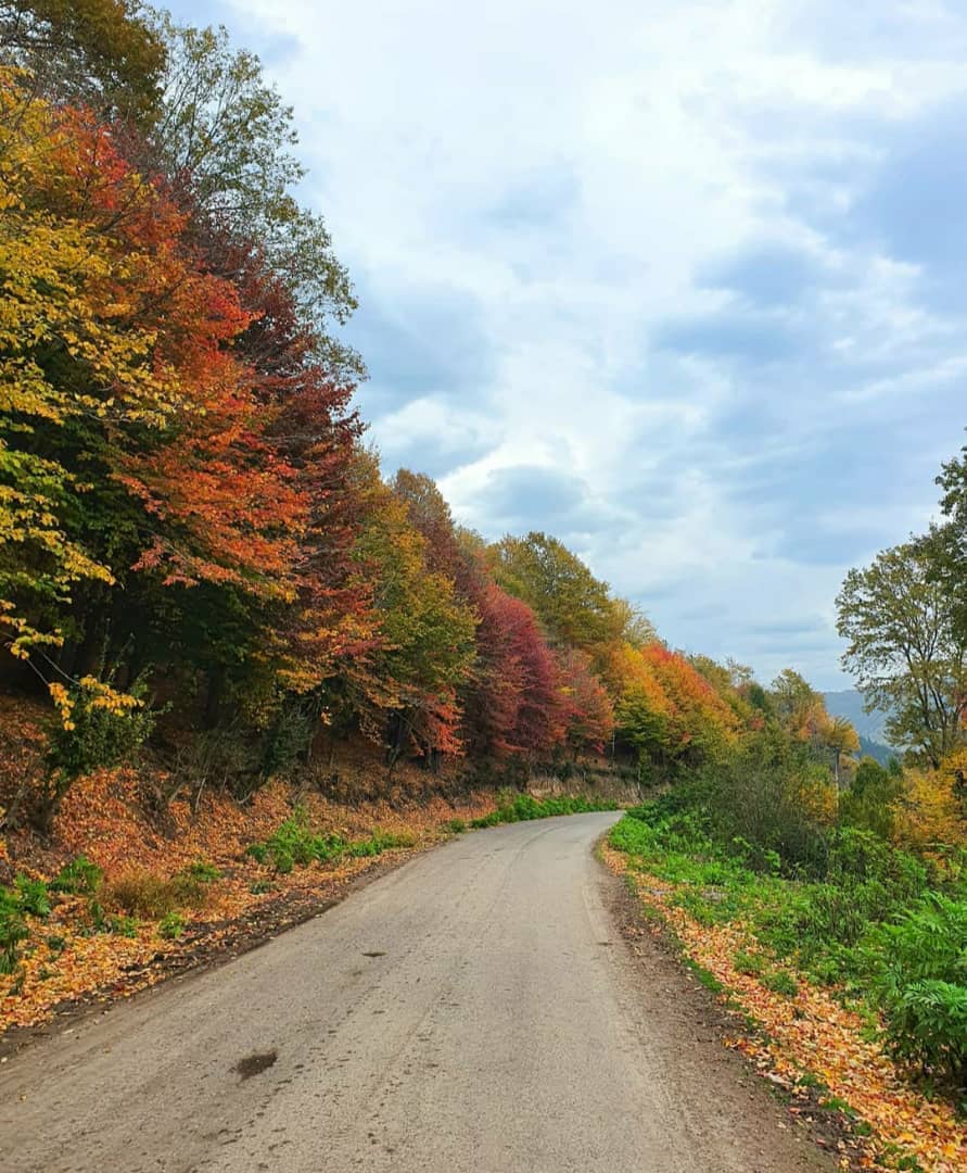 اجاره خانه مبله در امامزاده رشت