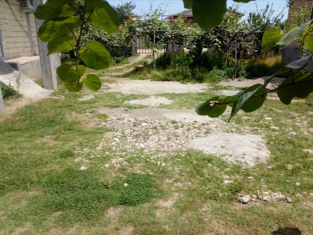 اجاره سوئیت مبله شیک درتالش