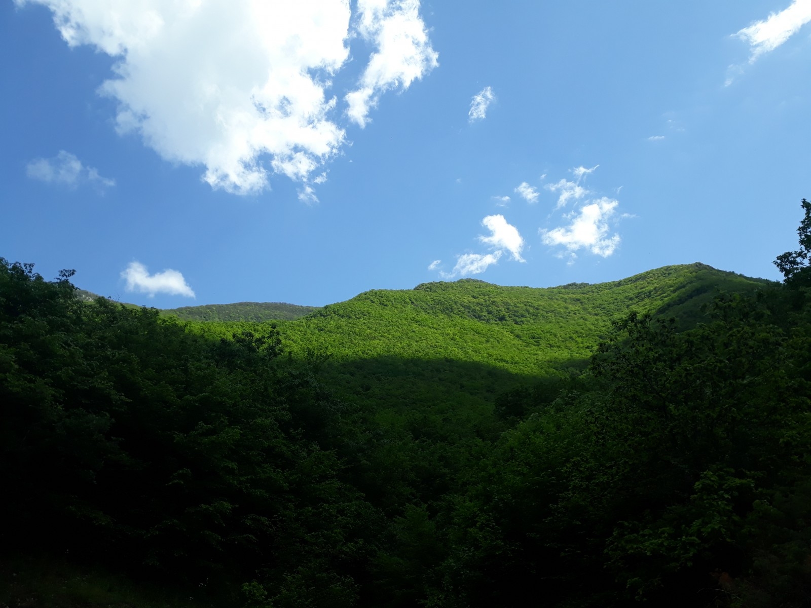 اجاره سوئیت جنگلی استخردار درصومعه کلیبر - 2