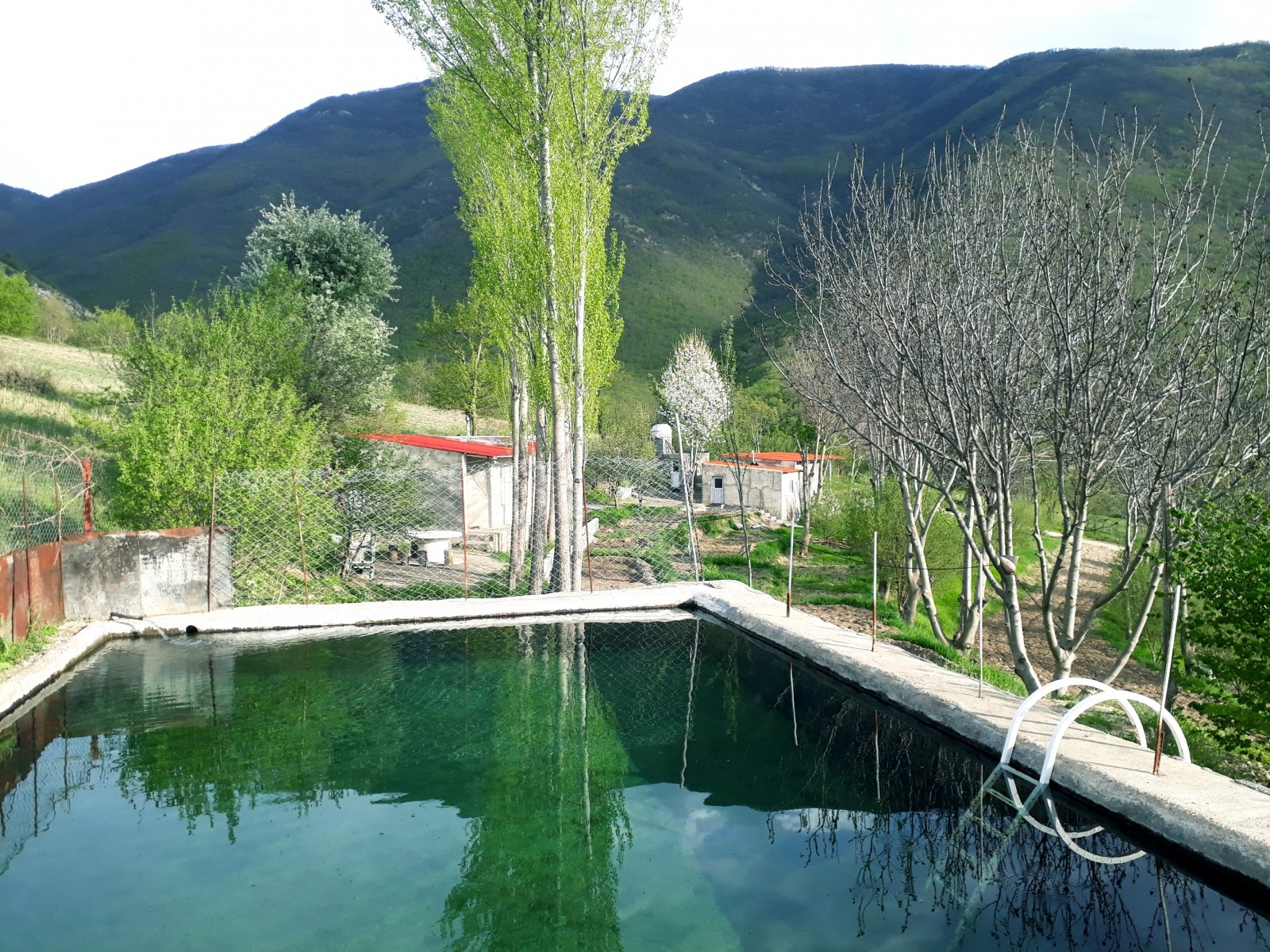 اجاره سوئیت جنگلی استخردار درصومعه کلیبر - 2