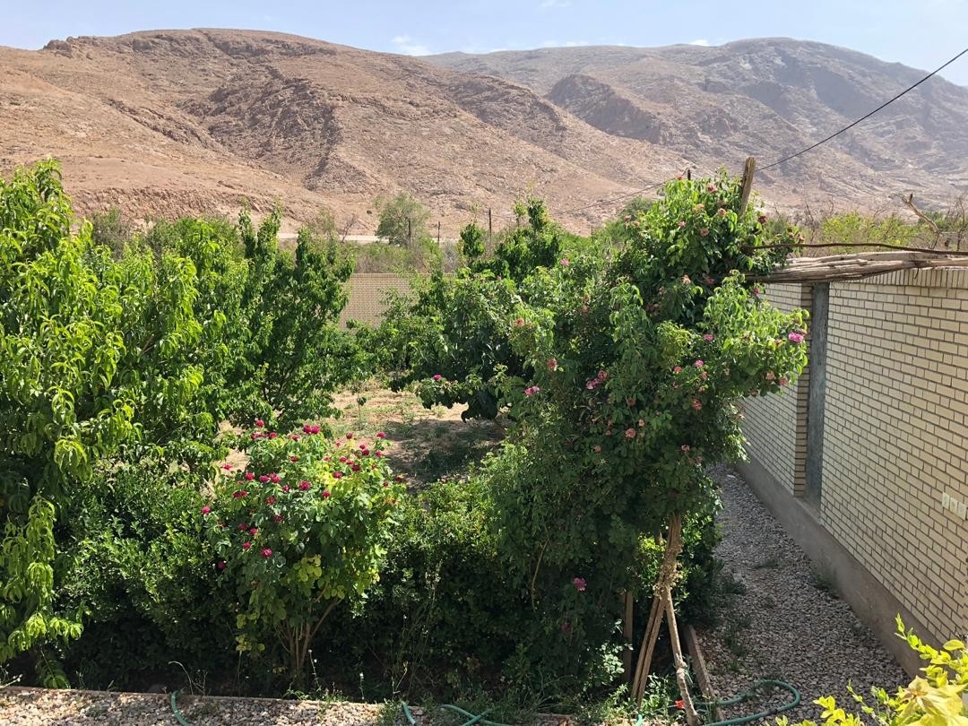 اجاره باغ ویلا در 22 بهمن تفت یزد - یاس