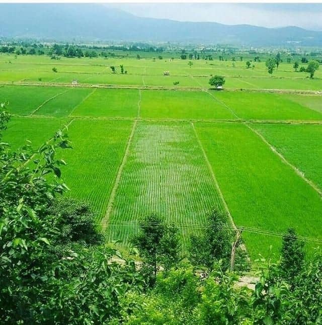اجاره خانه روستایی در میرزاگلبند رودبار