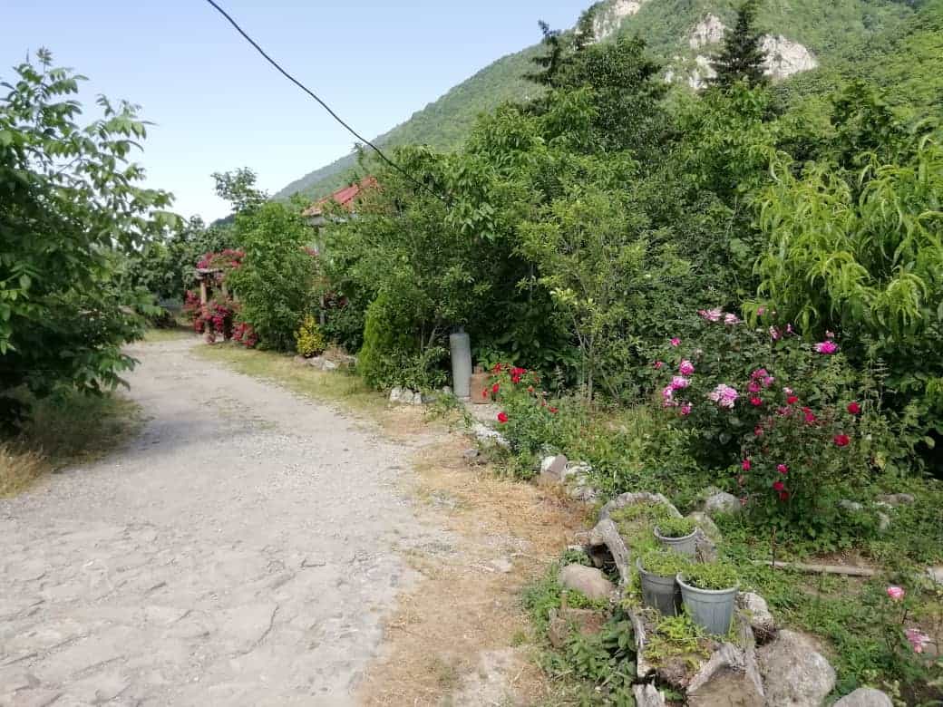 اجاره باغ و ویلا در روستای کلیشم تنکابن