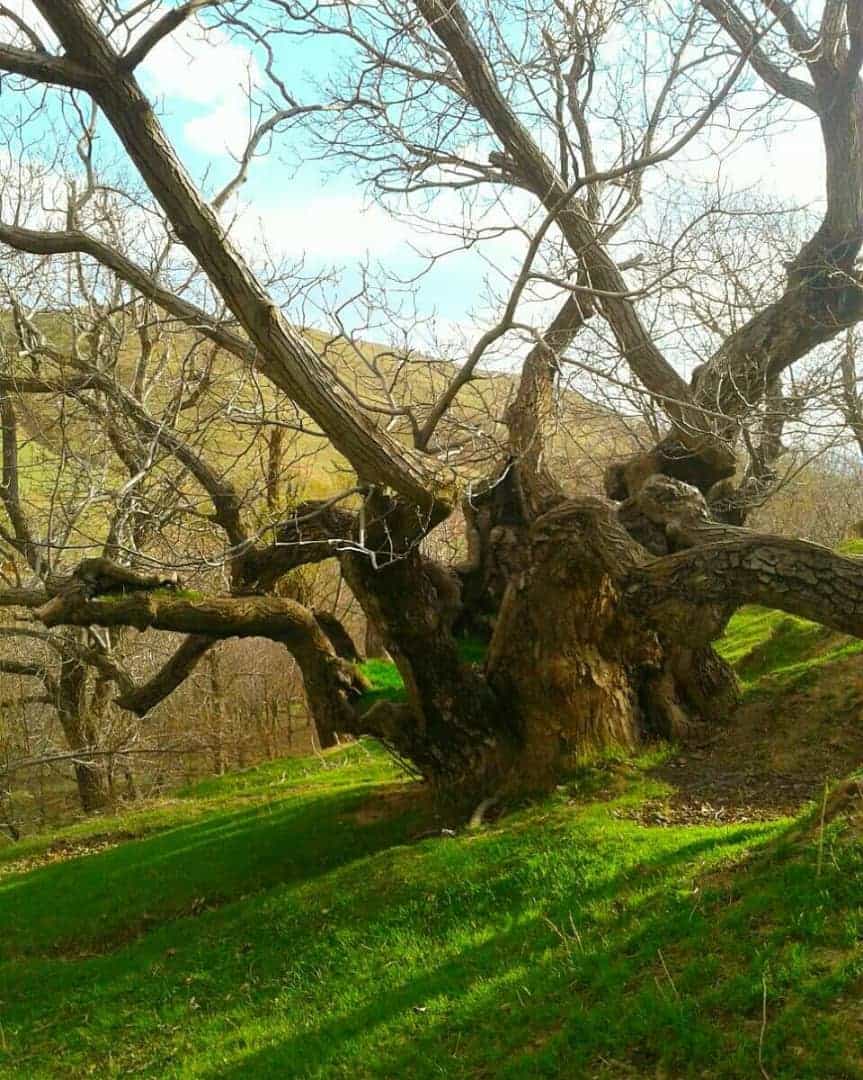 اجاره خانه روستایی در ترخین آباد همدان - اسدآباد 15 متری