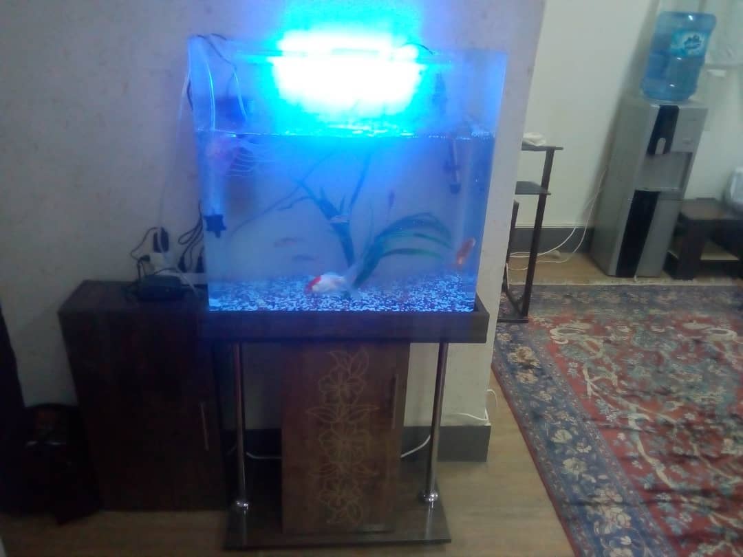 اجاره سوئیت و آپارتمان مبله چهارراه غفاری قم