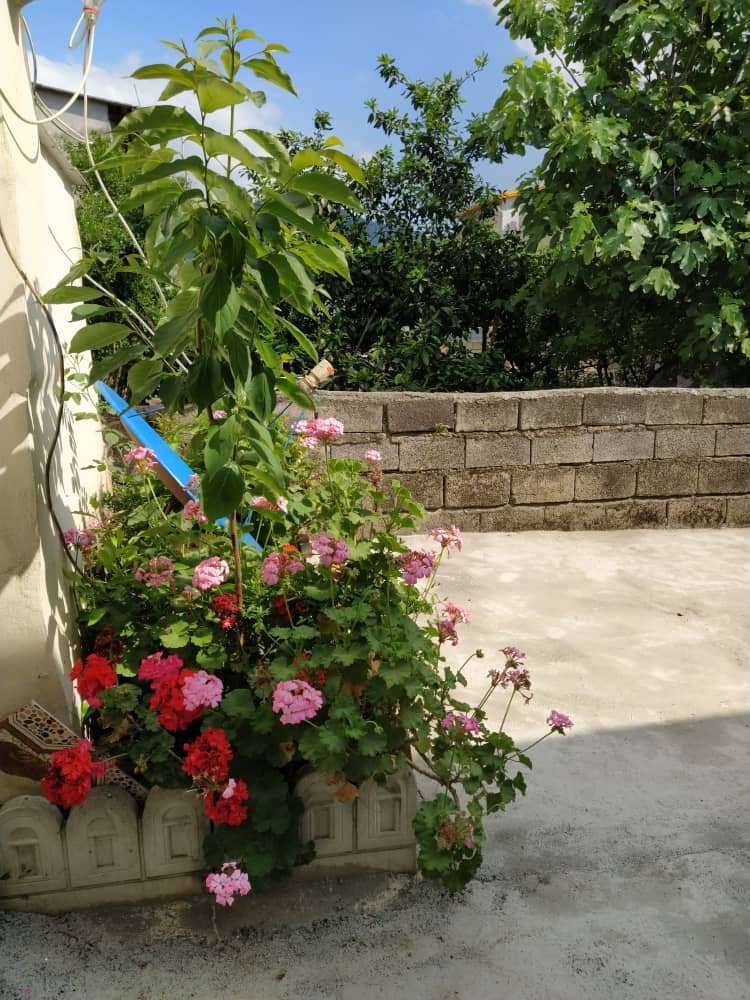 اجاره منزل ویلایی در منطقه سرچاک شیرگاه - آذررود