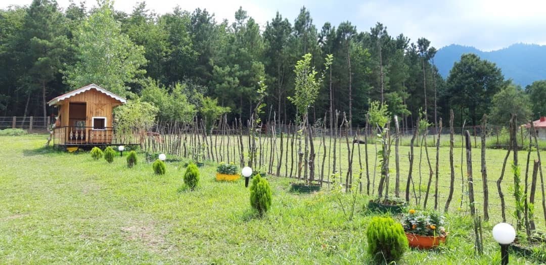 اجاره ویلا جنگلی در ماسال