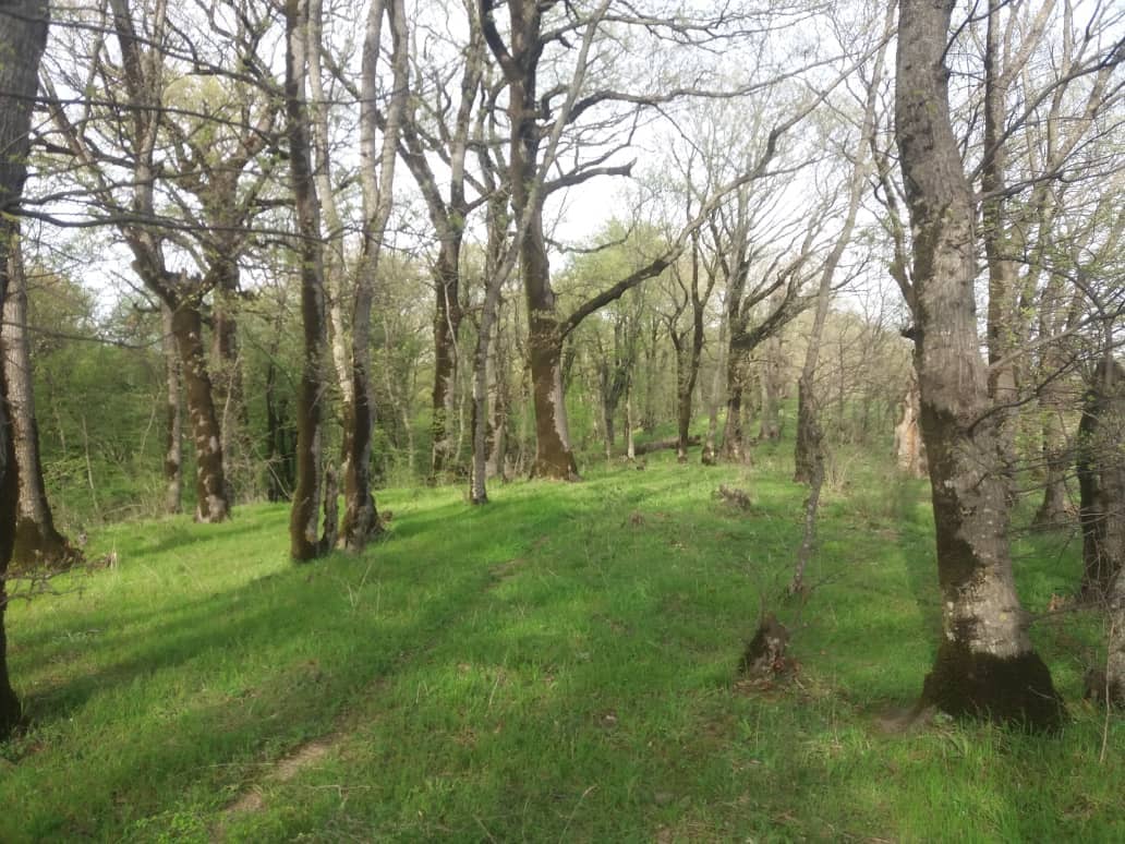 اجاره خانه سنتی در روستای تمرقره قوزی کلاله25 متری