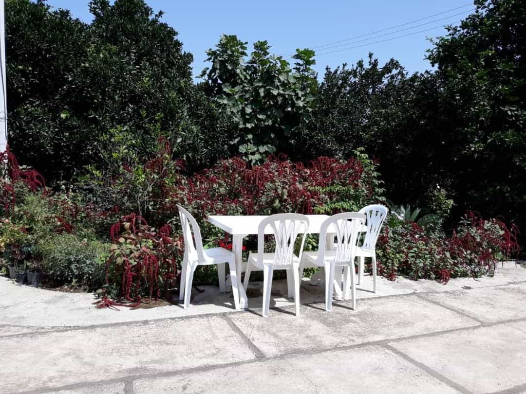اجاره باغ و ویلا در نیلی کنار رامسر