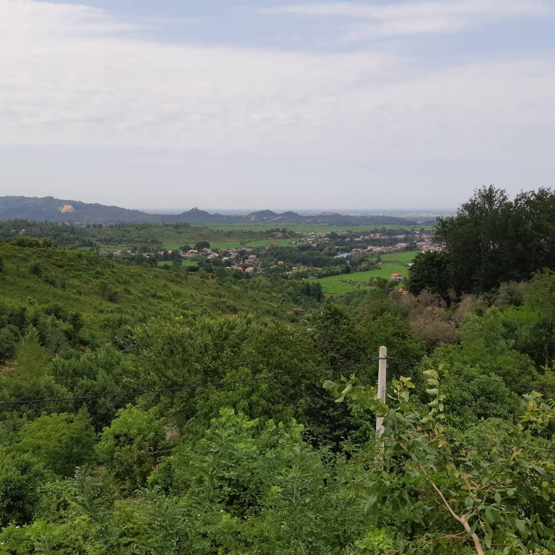 اجاره باغ و ویلا در املش گیلان