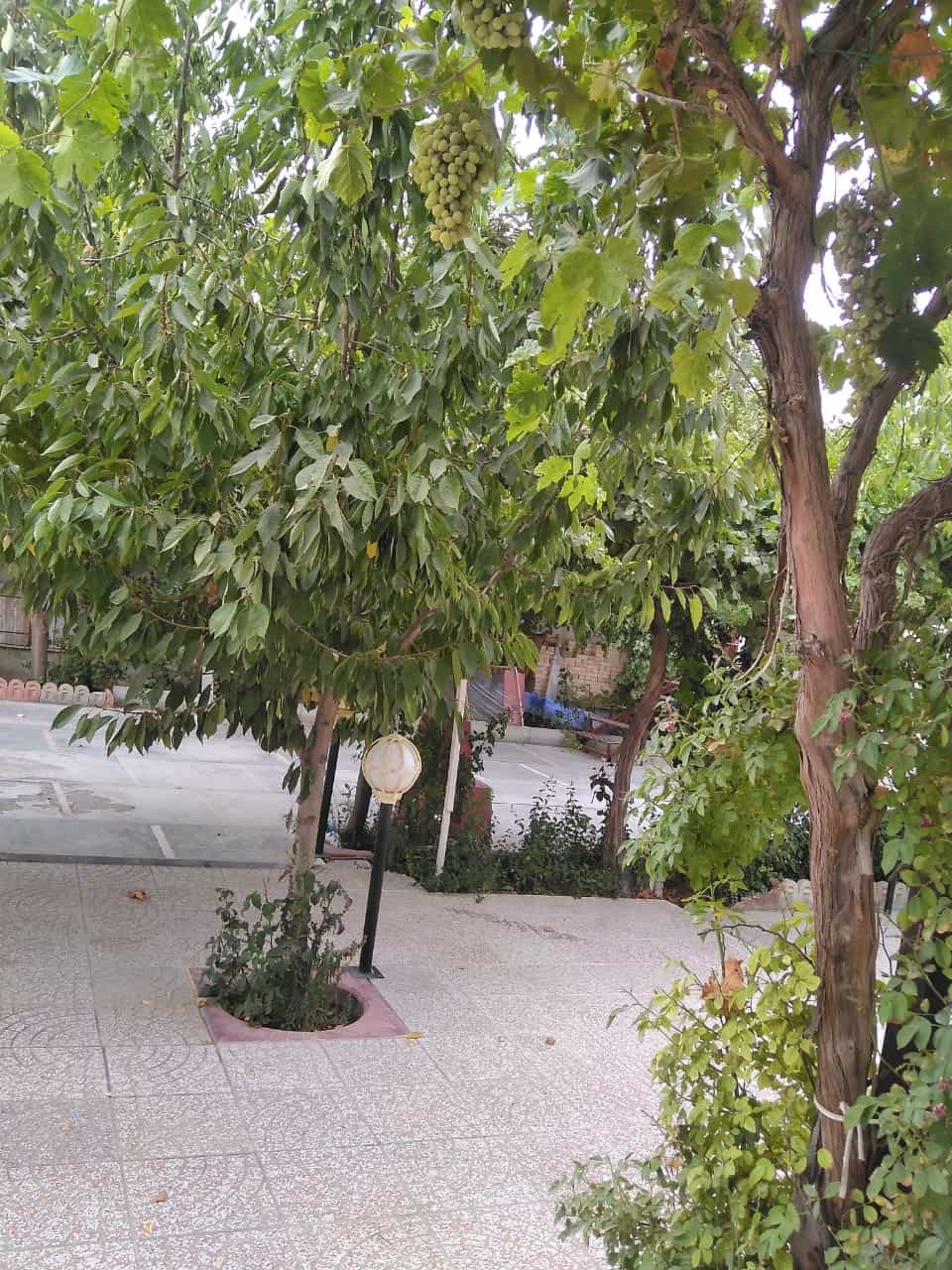 اجاره اتاق کلبه ای  در گلپاشین ارومیه - کلبه 3