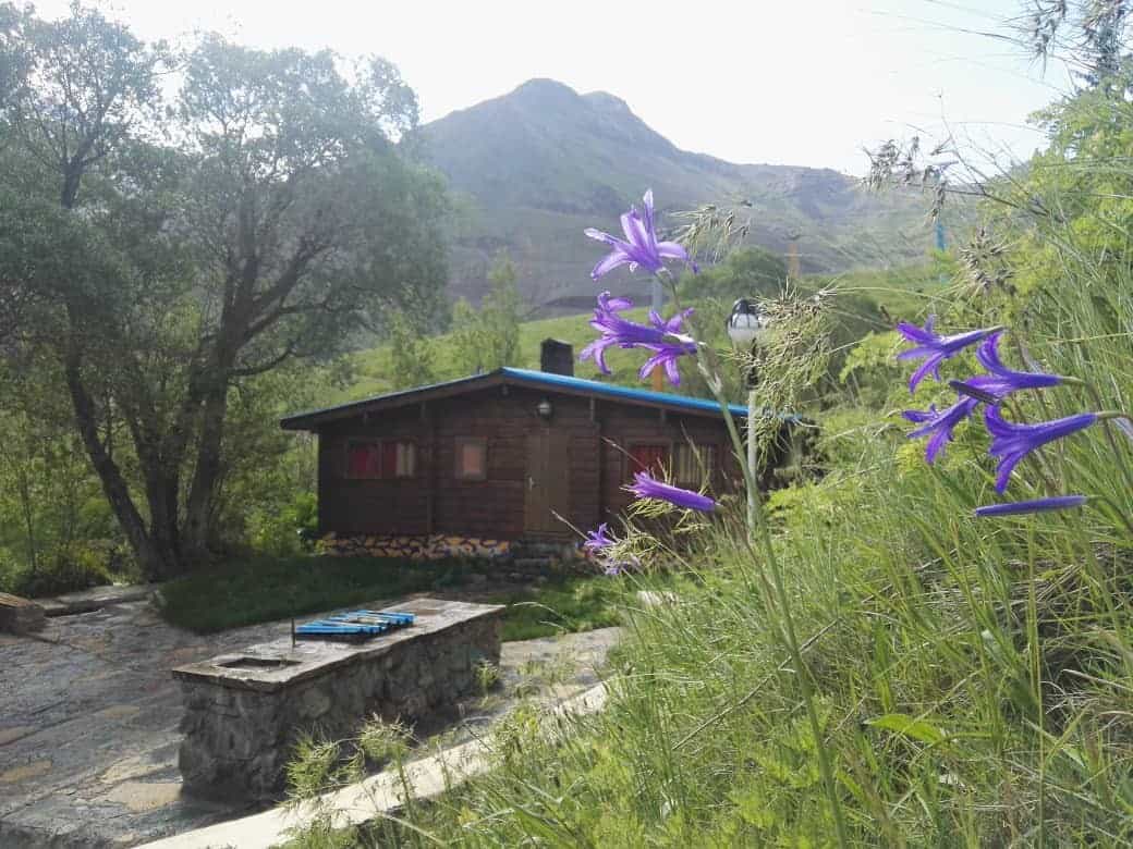 اجاره کلبه چوبی وسط جنگل  دردیزین -واحد1