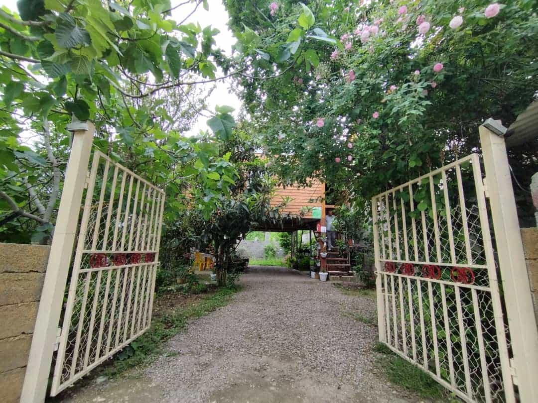 اجاره کلبه چوبی جنگلی در مرکیه بالا ماسال نما
