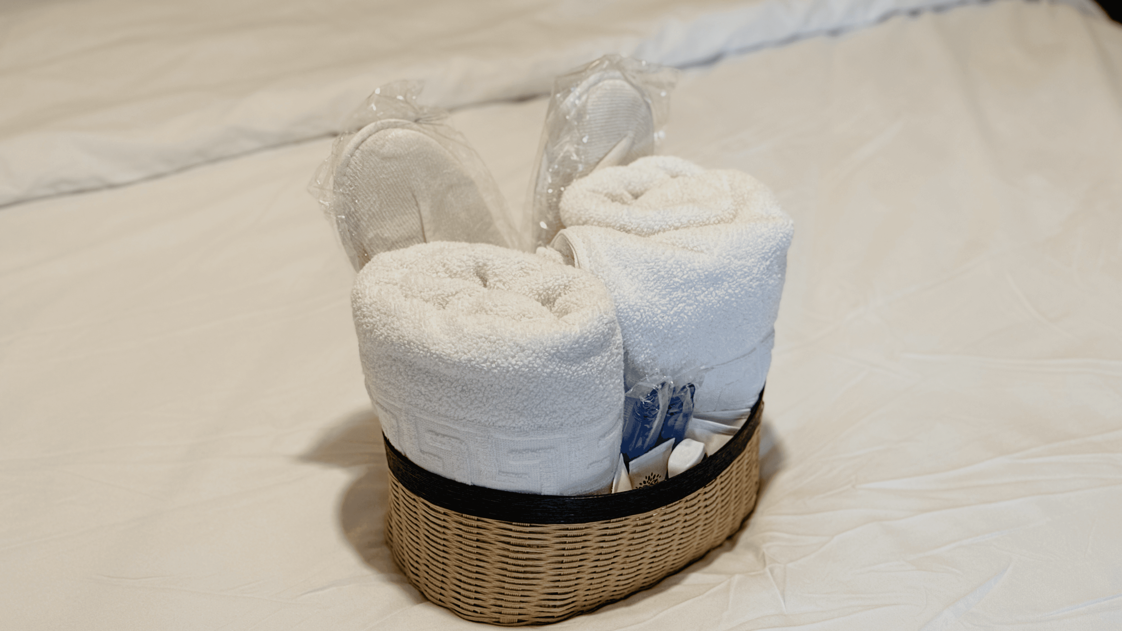 اقامتگاه بوگردی در سهیلی قشم - دو تخته 106 محوطه