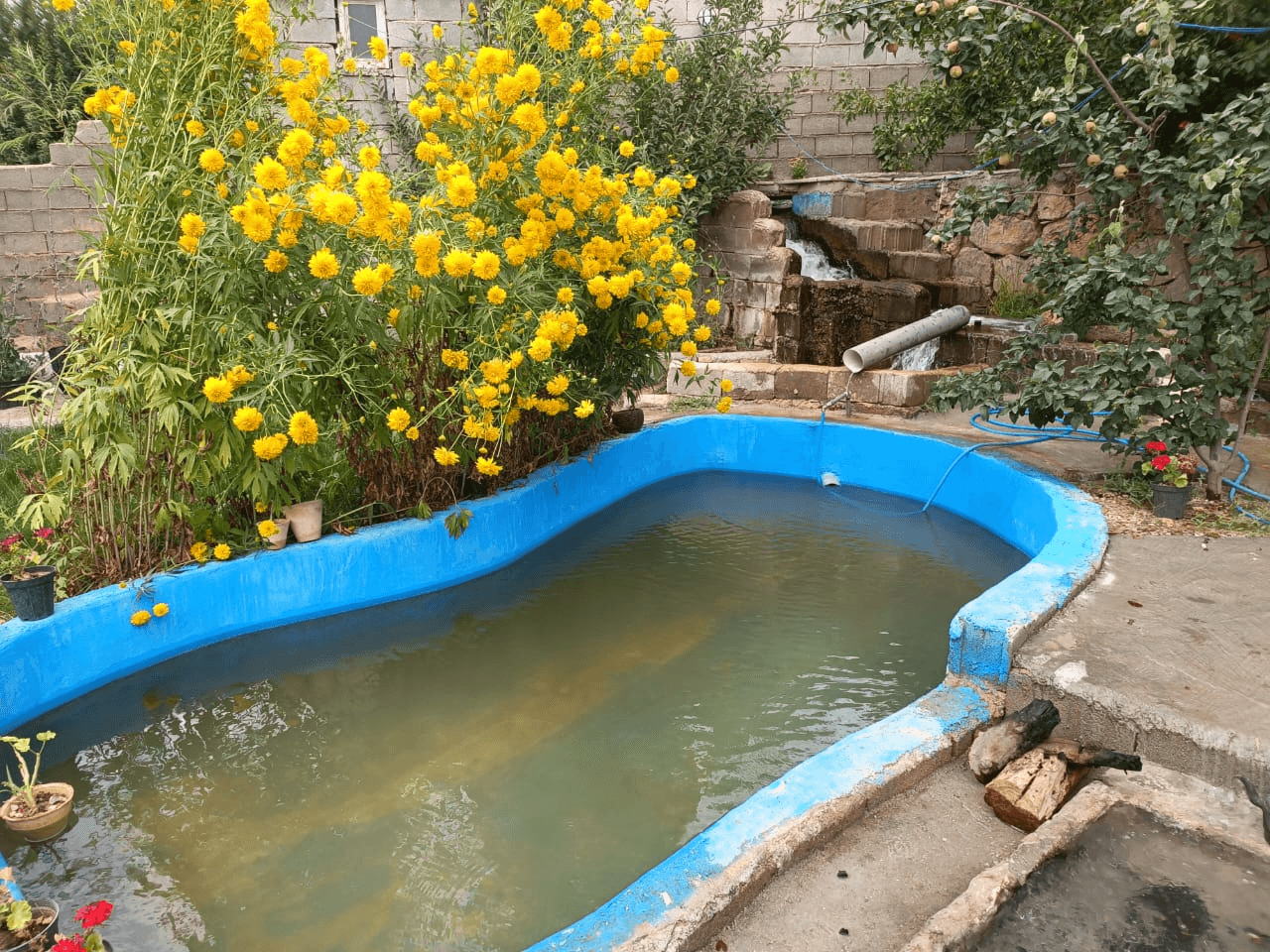 اجاره ویلا استخرروباز در روستا اشکفت سپیدان - تکخواب نما واحد تکخواب