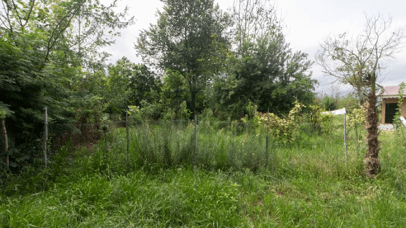 اجاره کلبه سوئیسی در روستای پیرسرا شاندرمن ماسال - خانه ی امید نما کلبه