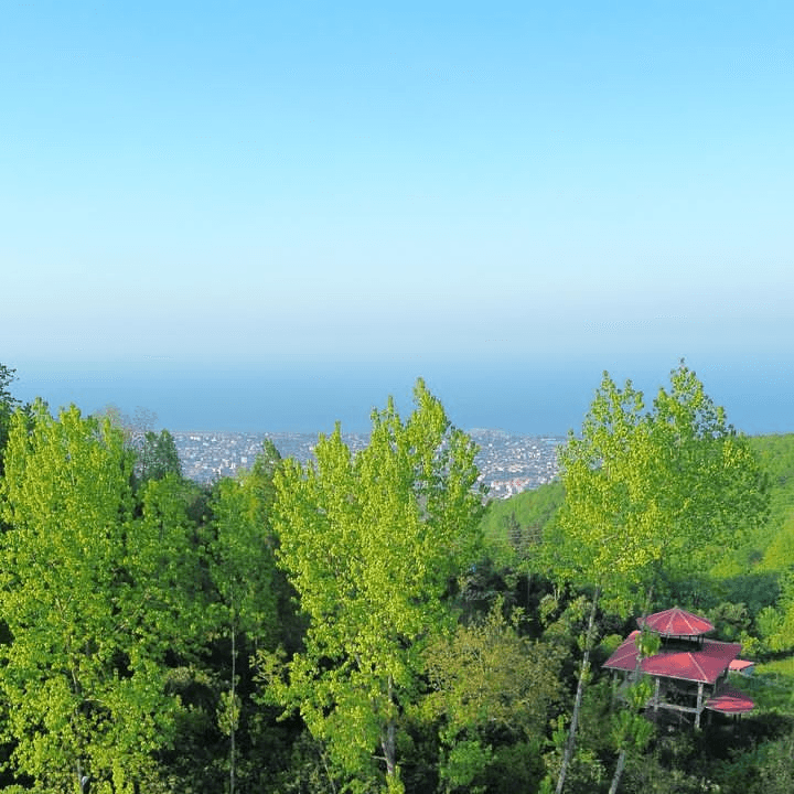 کلبه سوئیسی جنگلی دوبلکس جکوزی دار در اربه کله رامسر