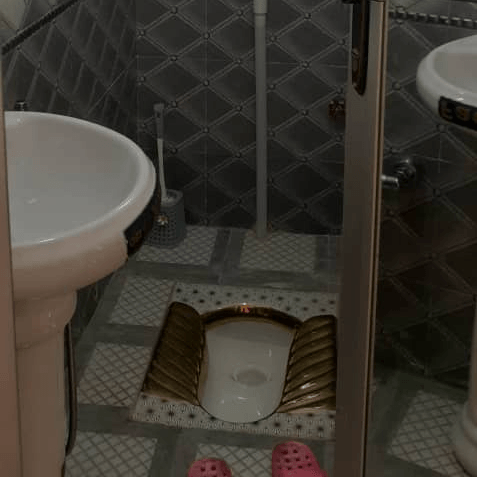 اجاره ویلا جنگلی تریبلکس در جاده اسالم به خلخال  نما