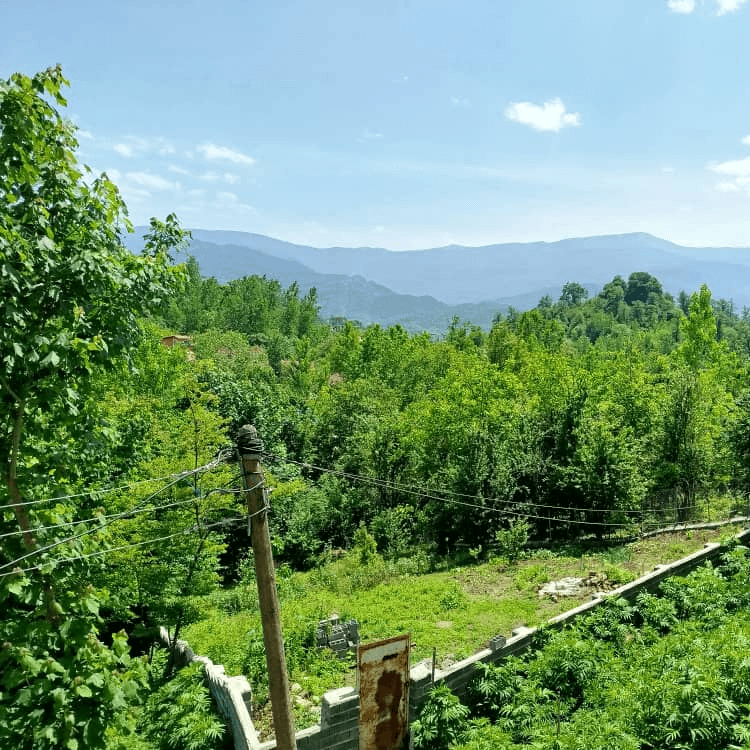 ویلا جنگلی تکخوابه در لفور روستای نفت چال