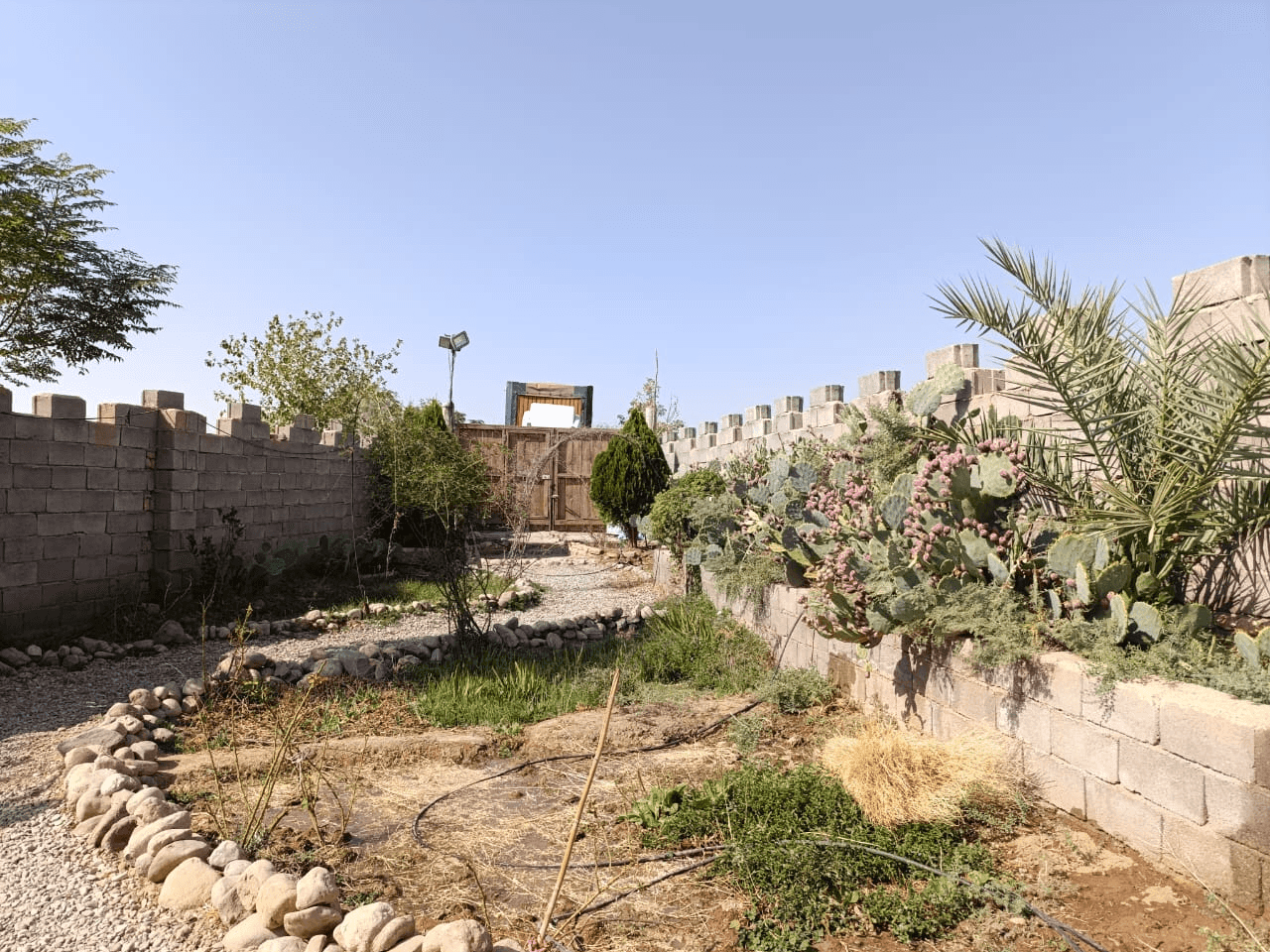 بومگردی سنتی در روستا فروان آرادان - پروانه  اتاق پروانه