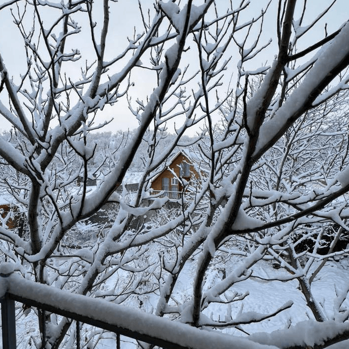 کلبه سوئیسی در روستا بیاره سی سخت  نما کلبه