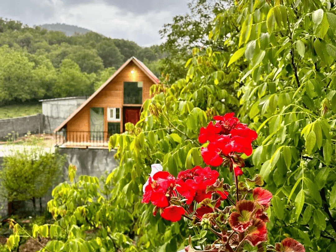 کلبه سوئیسی در روستا بیاره سی سخت  نما کلبه