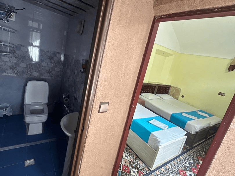 اجاره اقامتگاه سنتی در یزد - لیمویی محوطه