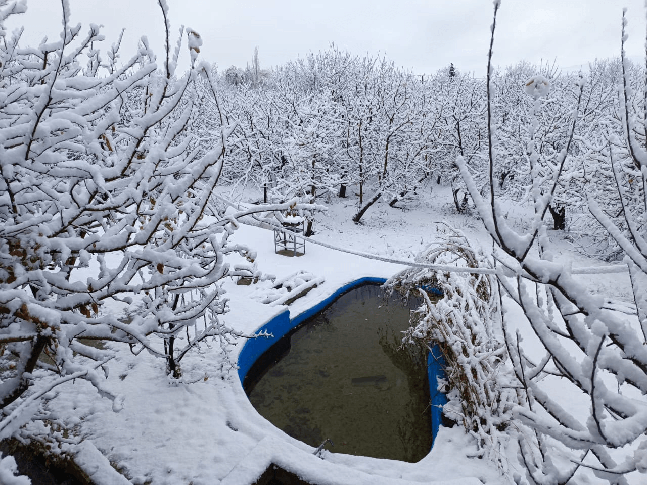 اجاره ویلا باغ استخرروباز در روستا اشکفت سپیدان - سوئیت  داخل سوئیت