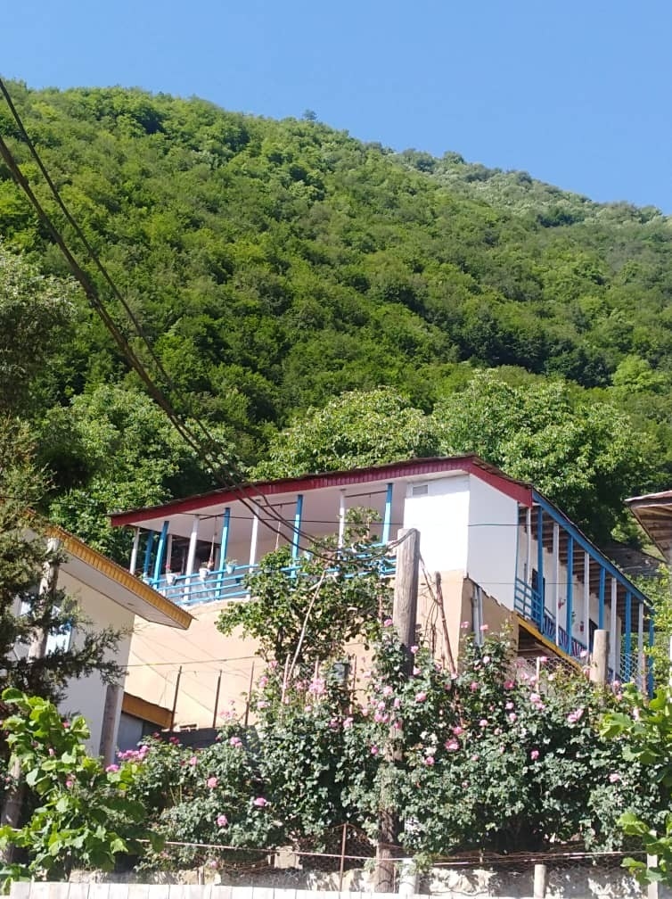 اقامتگاه بومگردی جنگلی در روستای مشاورک رامسر