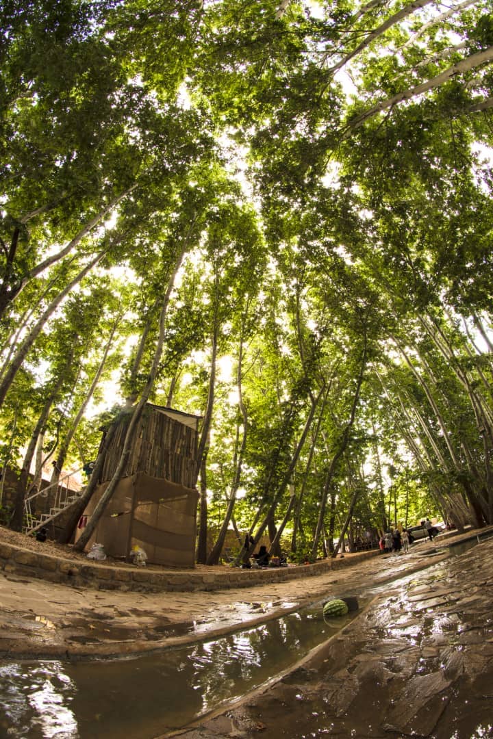 اجاره کلبه چوبی کاهگلی در پسکوهک شیراز