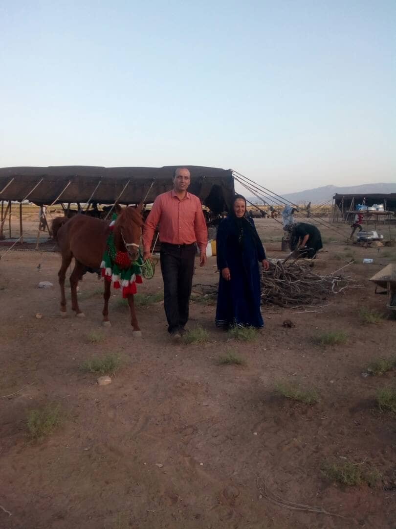 اجاره خانه سنتی در سروستان - خمسه