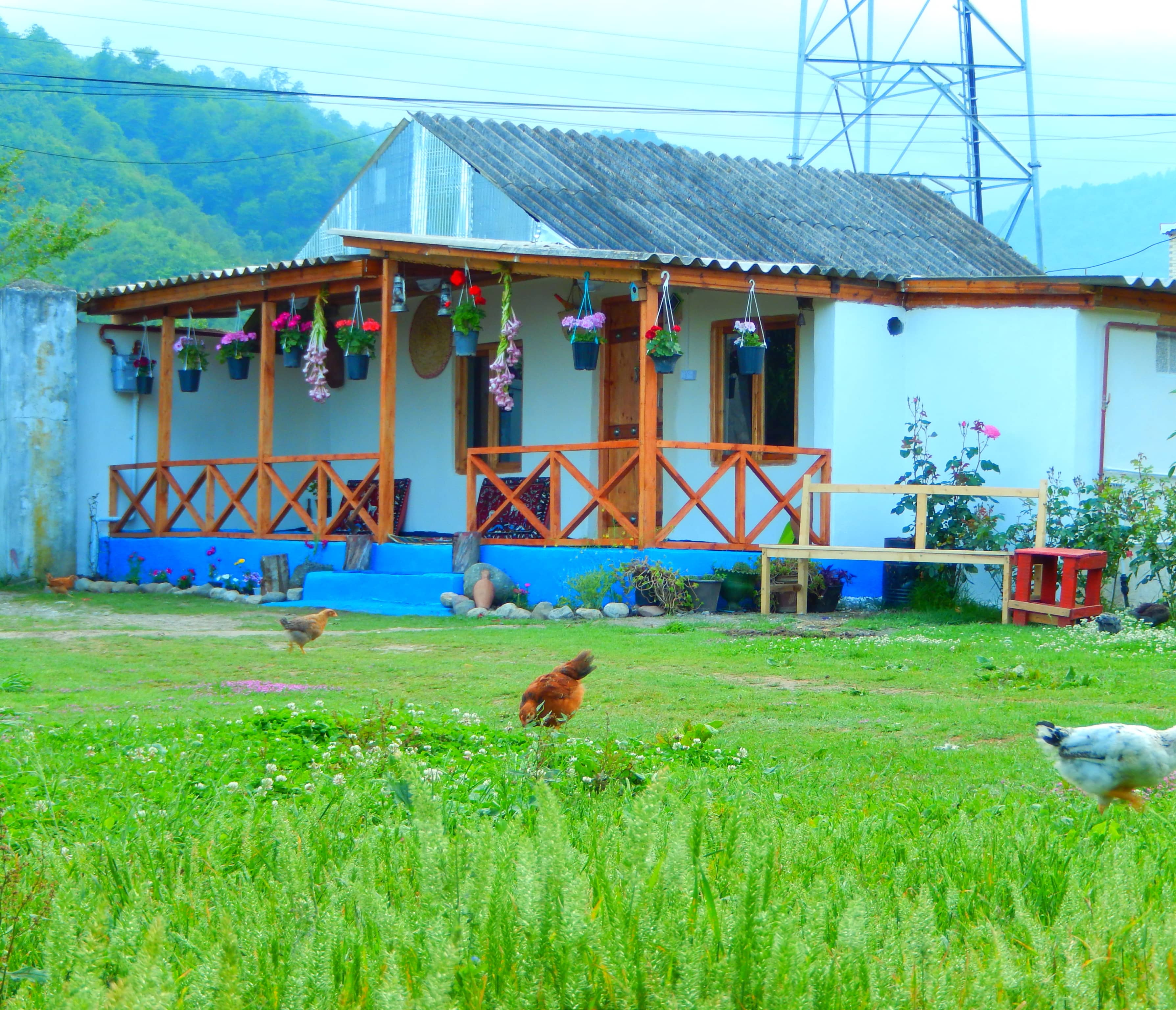 رزرو کلبه سنتی در روستای داوان لیسار - تالش