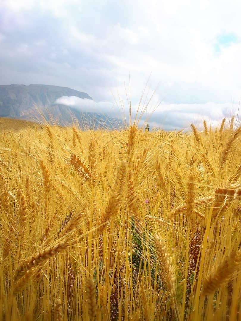 اجاره سوئیت کوهستانی در روستای چاشم شهمیرزاد واحد3 نمای بیرونی اقامتگاه