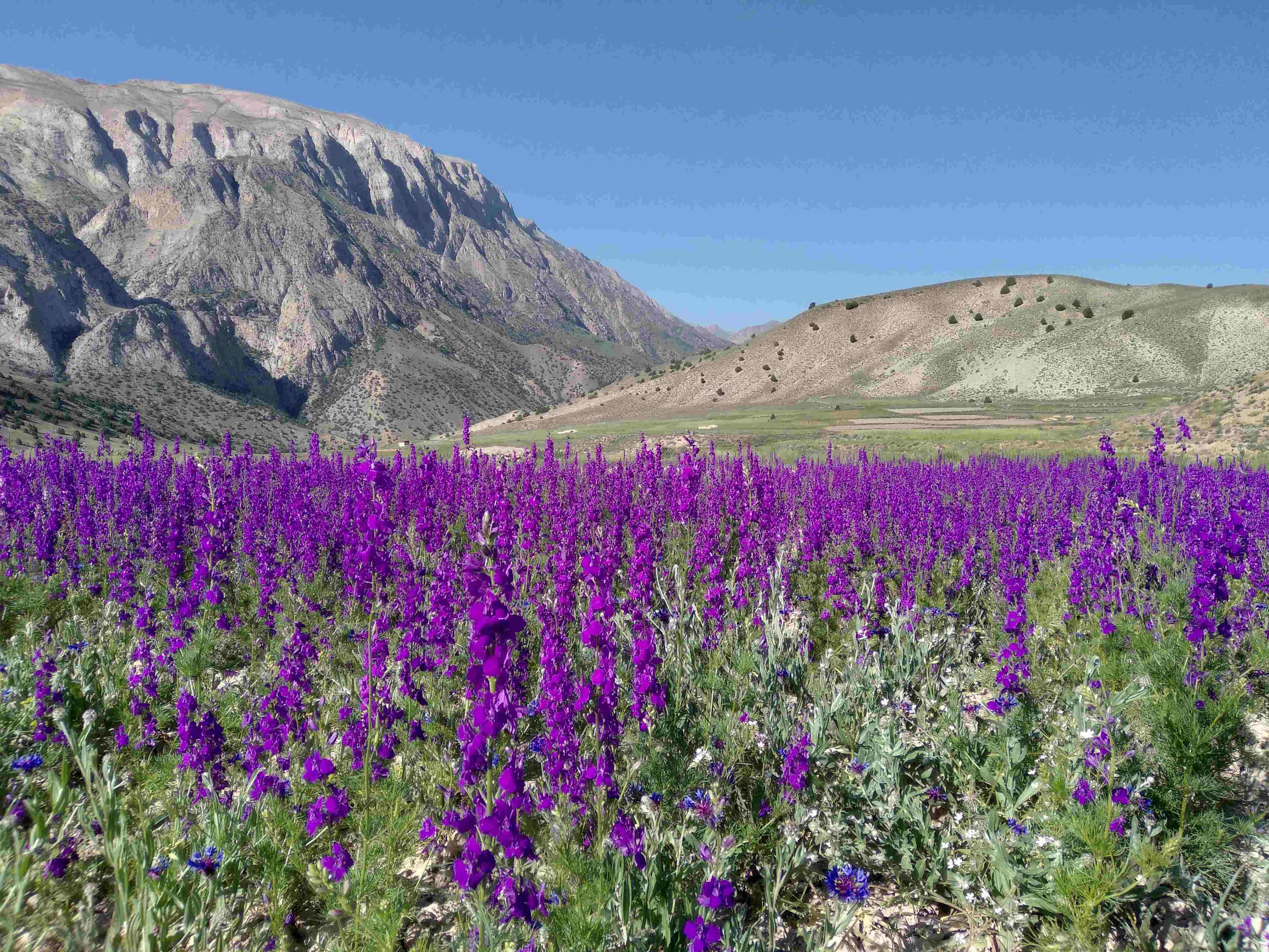 null