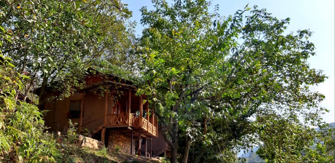 اجاره کلبه چوبی جنگلی در روستای اساس سوادکوه - سرای اساس 3