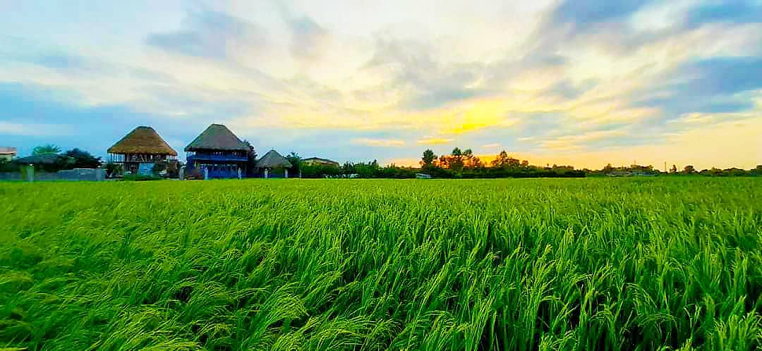 اجاره اتاق سنتی در میان پشته رودسر