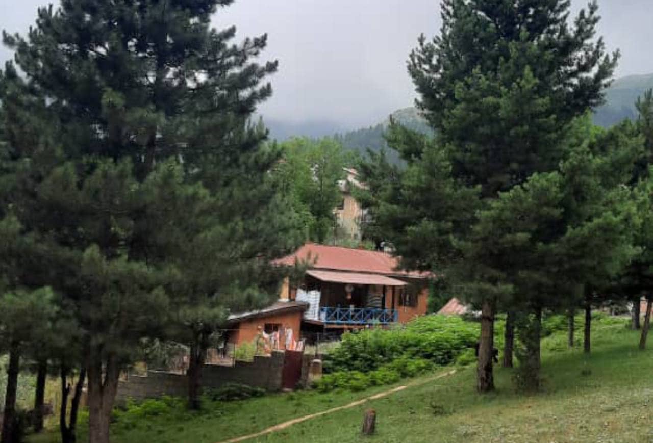 اجاره کلبه جنگلی در جواهرده رامسر