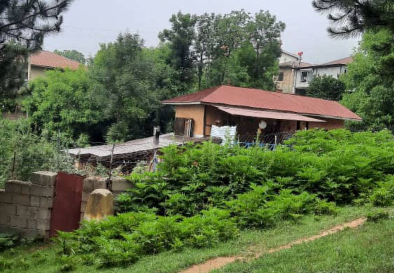 اجاره کلبه جنگلی در جواهرده رامسر