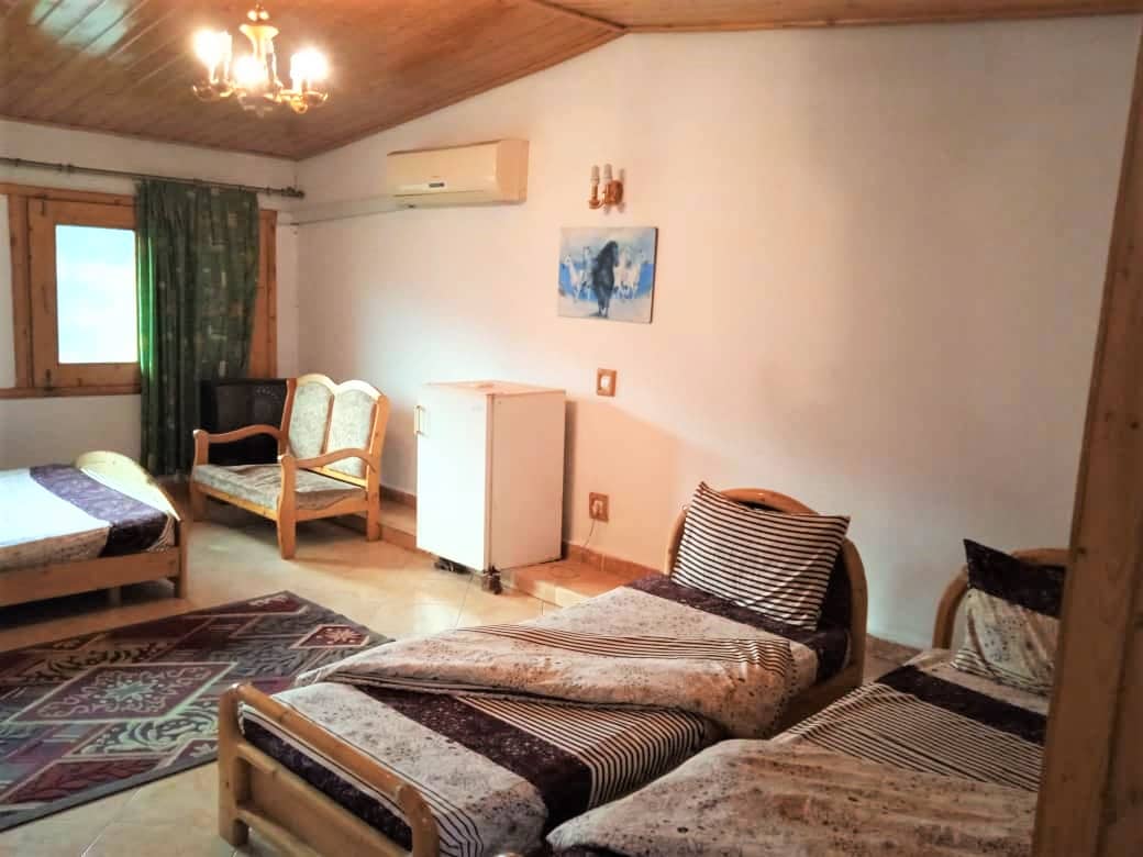 اجاره سوئیت هتل جنگلی مبله در سینوا چالوس