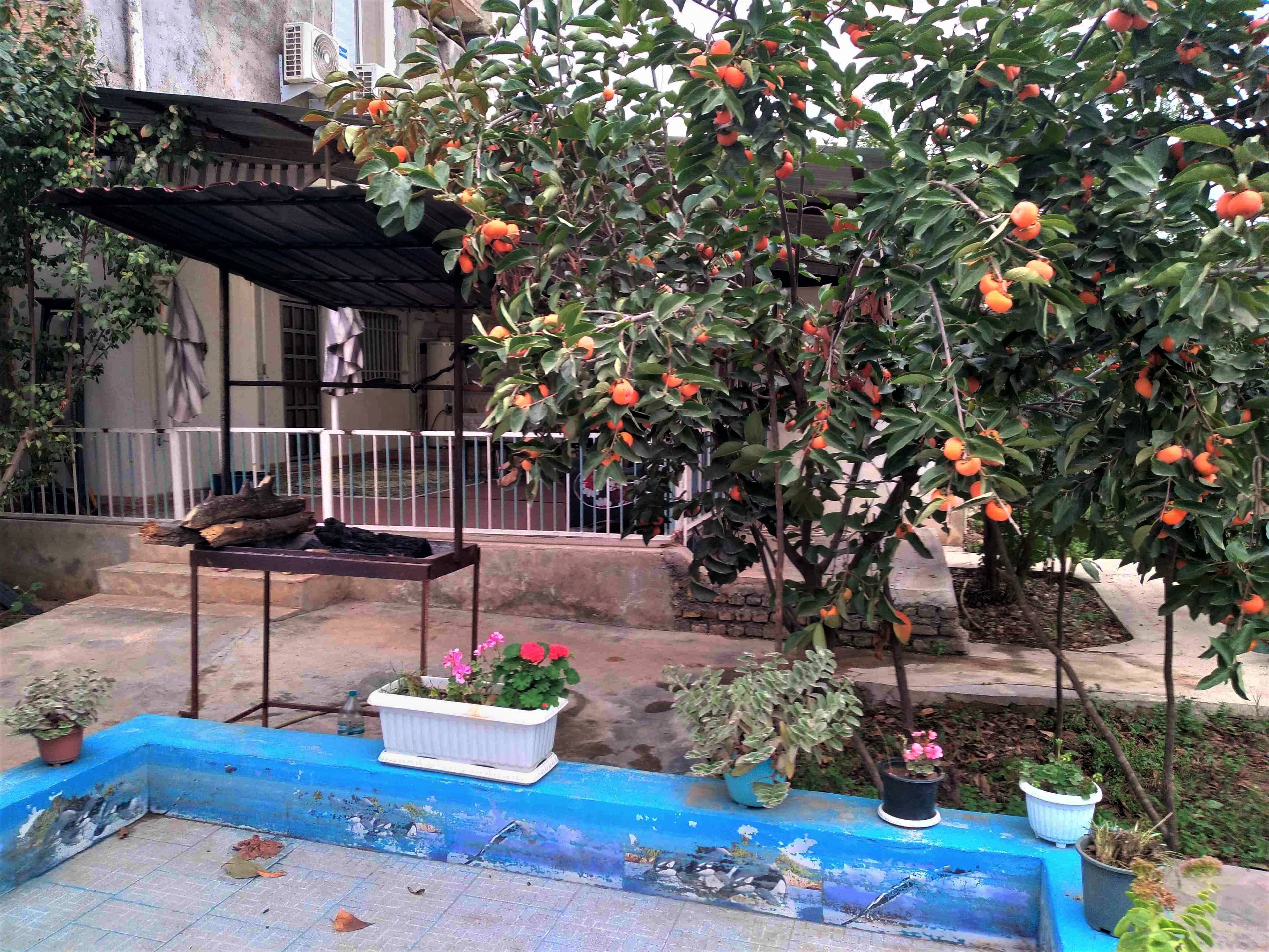 اجاره منزل مبله یک خوابه در کردآباد علی آباد کتول - همکف