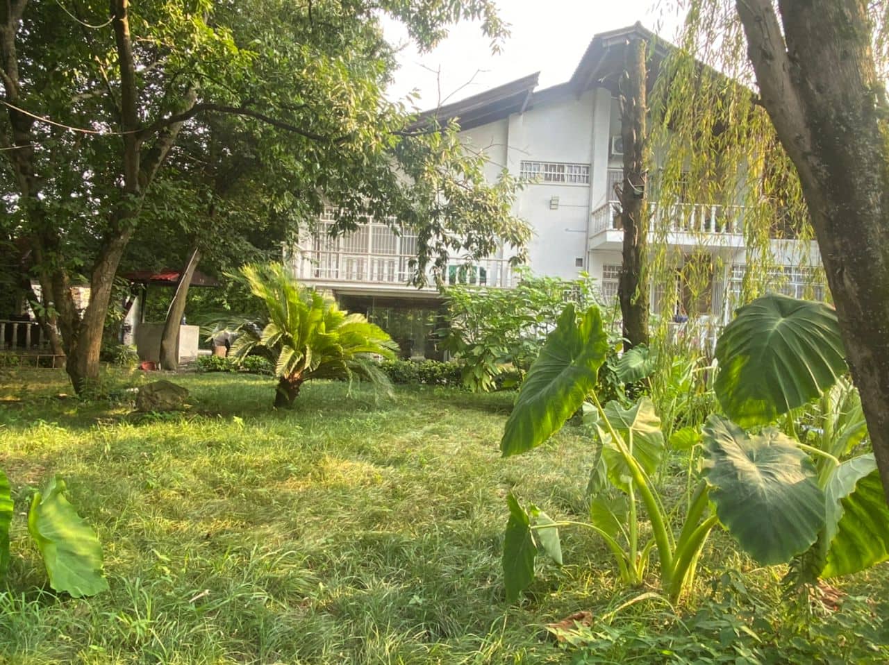 اجاره ویلا ساحلی با استخر آبگرم رو باز در رامسر