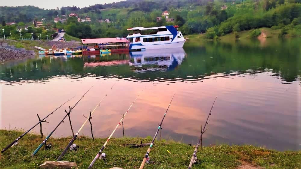 اجاره کلبه سوئیسی در برنجستانک - پنج تخته