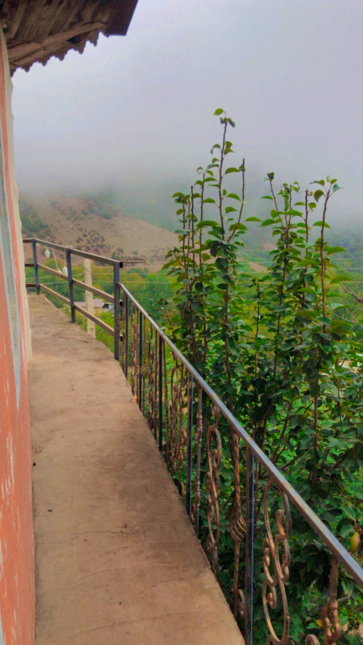 اجار ویلا جنگلی یک خوابه در تالش-طبقه ی اول