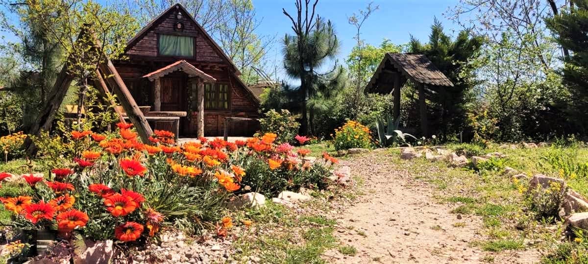 اجاره کلبه سوئیسی جنگلی در امره ساری - هلیا