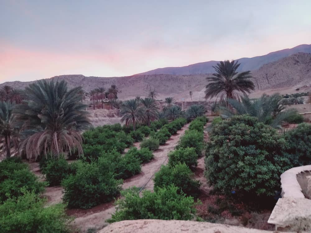 اقامتگاه بومگردی در روستای بادنجان جهرم- مهتاب