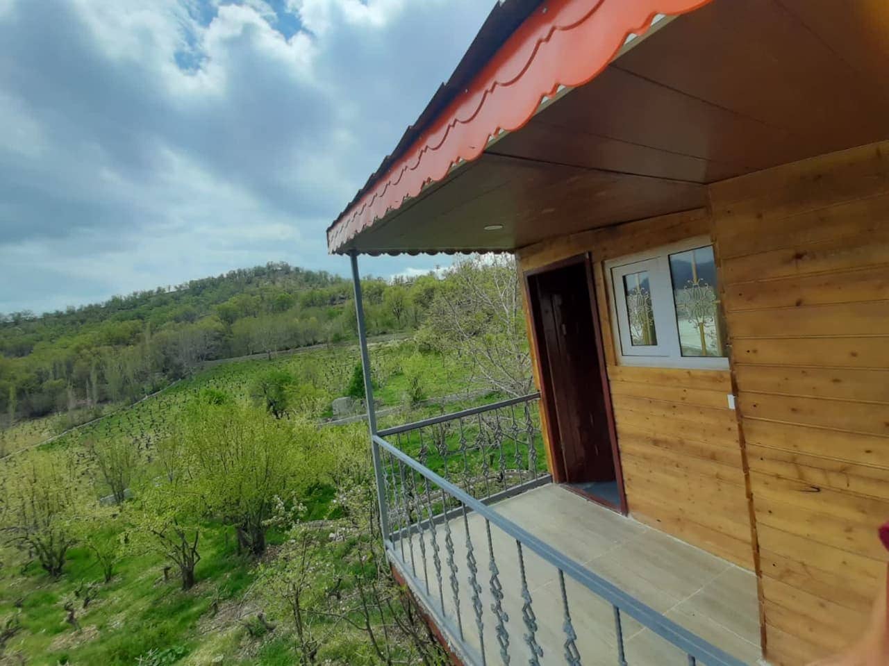 اجاره کلبه درختی در روستا بیاره سی سخت - یاسوج